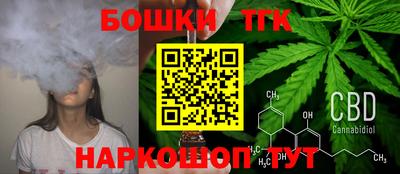 индика Ливны