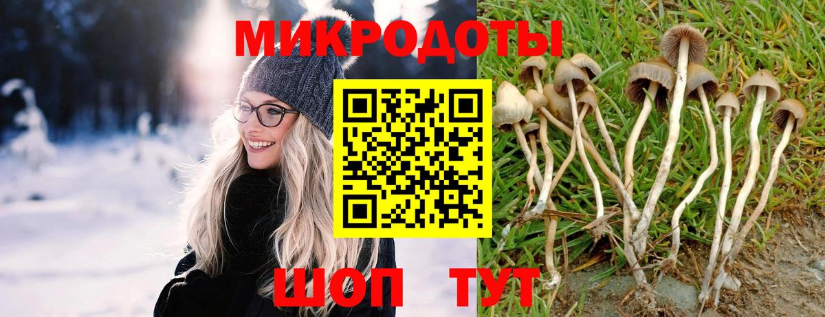 Псилоцибиновые грибы GOLDEN TEACHER  Псилоцибиновые грибы мухоморы  Вход с VPN  Иваново 